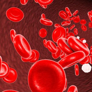 Ochrana cév před znečištěním